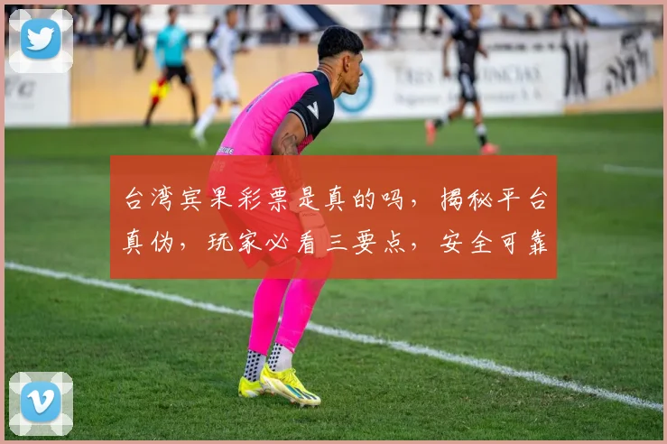 台湾宾果彩票是真的吗，揭秘平台真伪，玩家必看三要点，安全可靠吗