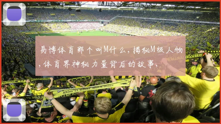 易博体育那个叫M什么,揭秘M级人物,体育界神秘力量背后的故事,