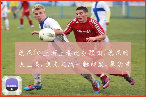 悉尼fc 上海上港比分预测,悉尼对决上港,焦点之战一触即发,悬念重重