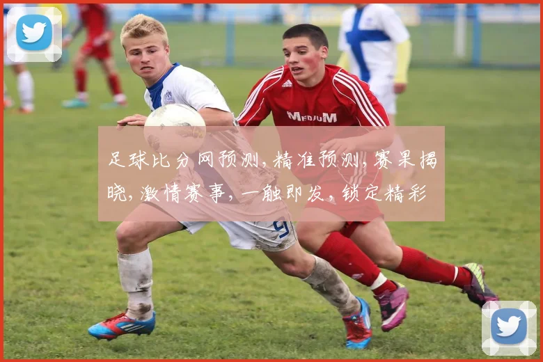 足球比分网预测,精准预测,赛果揭晓,激情赛事,一触即发,锁定精彩