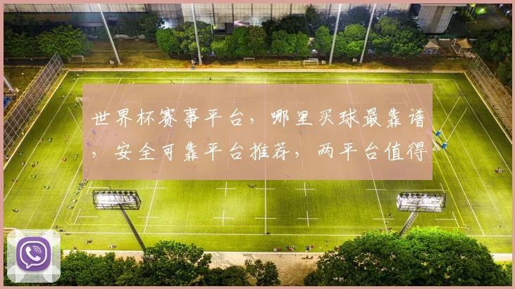 世界杯赛事平台，哪里买球最靠谱，安全可靠平台推荐，两平台值得信赖，
