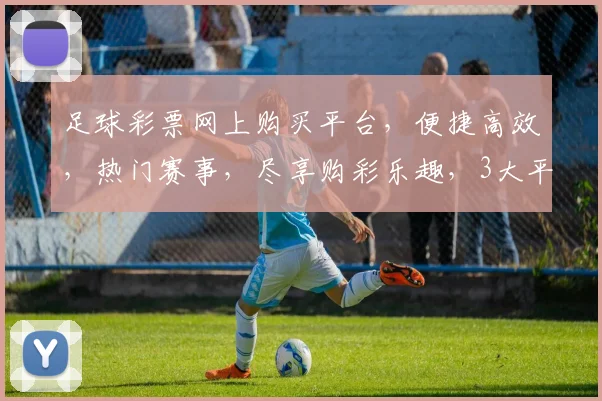 足球彩票网上购买平台，便捷高效，热门赛事，尽享购彩乐趣，3大平台推荐，不容错过，体验非凡